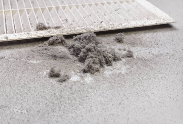 Best Air Vent Cleaning Services  in Lewisburg, OH