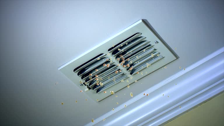 Best HVAC Air Duct Cleaning  in Lewisburg, OH